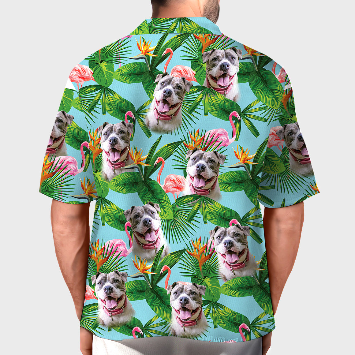 Hawaii Friend Shirt