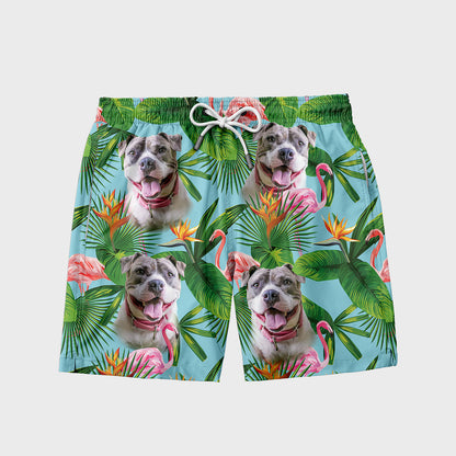 Hawaii Friend Shorts