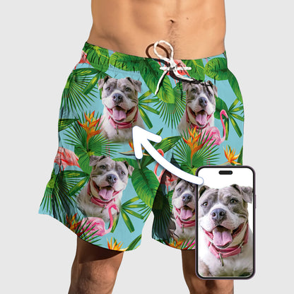 Hawaii Friend Shorts