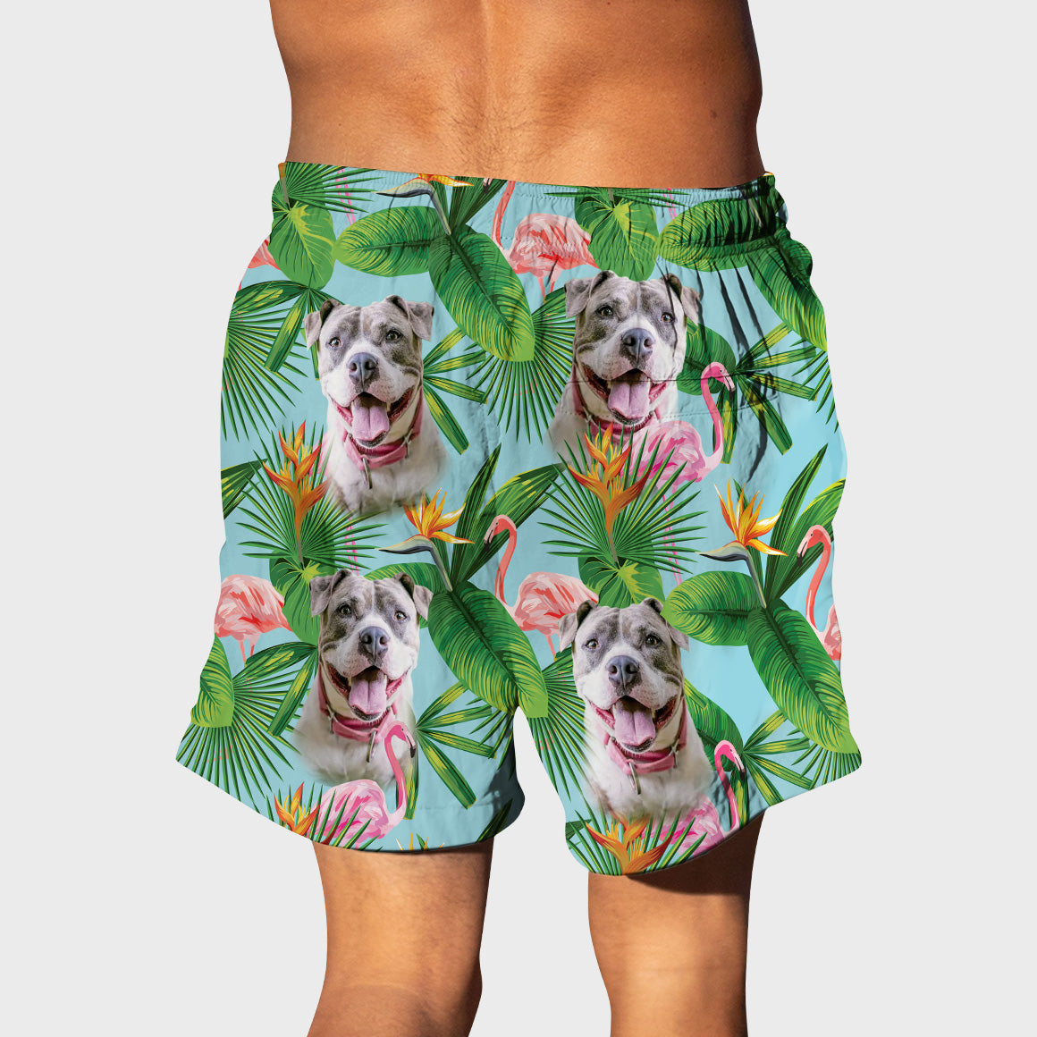 Hawaii Friend Shorts