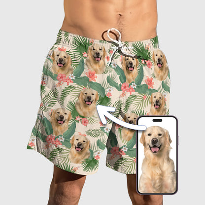 Island Buddy Shorts