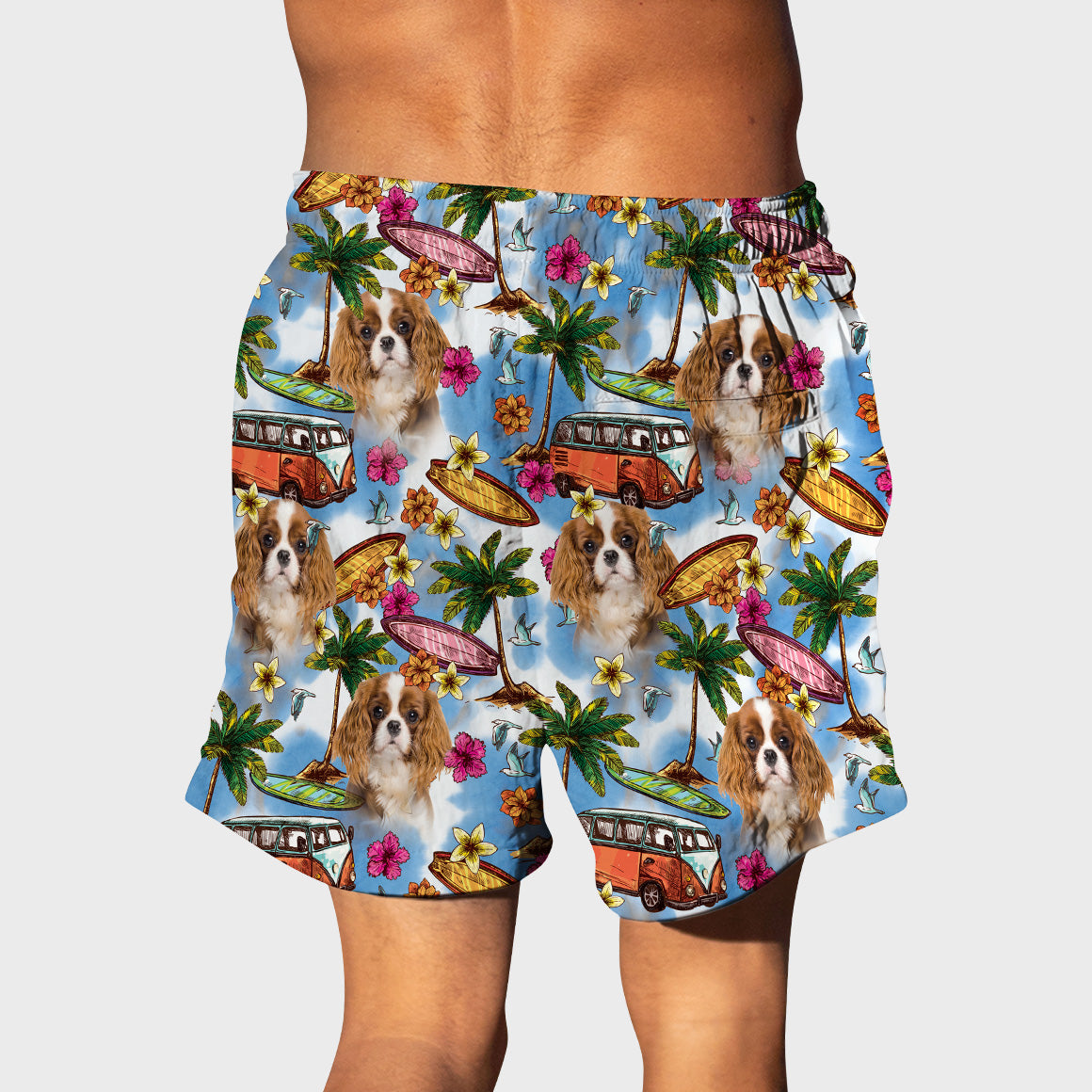 Surf Buddies Shorts